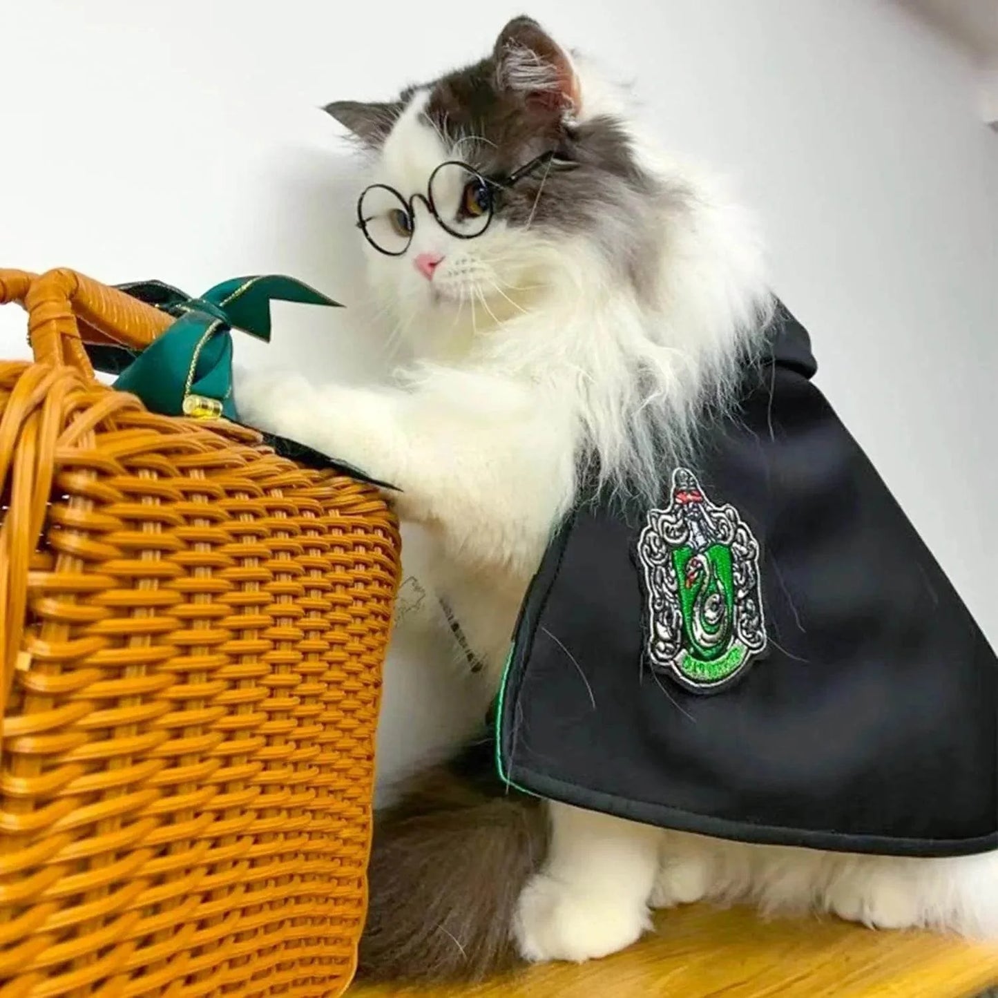 PETWARTS™ – Il Costume Magico per Cani e Gatti Ispirato al Mondo di Hogwarts - Paw Glamour™