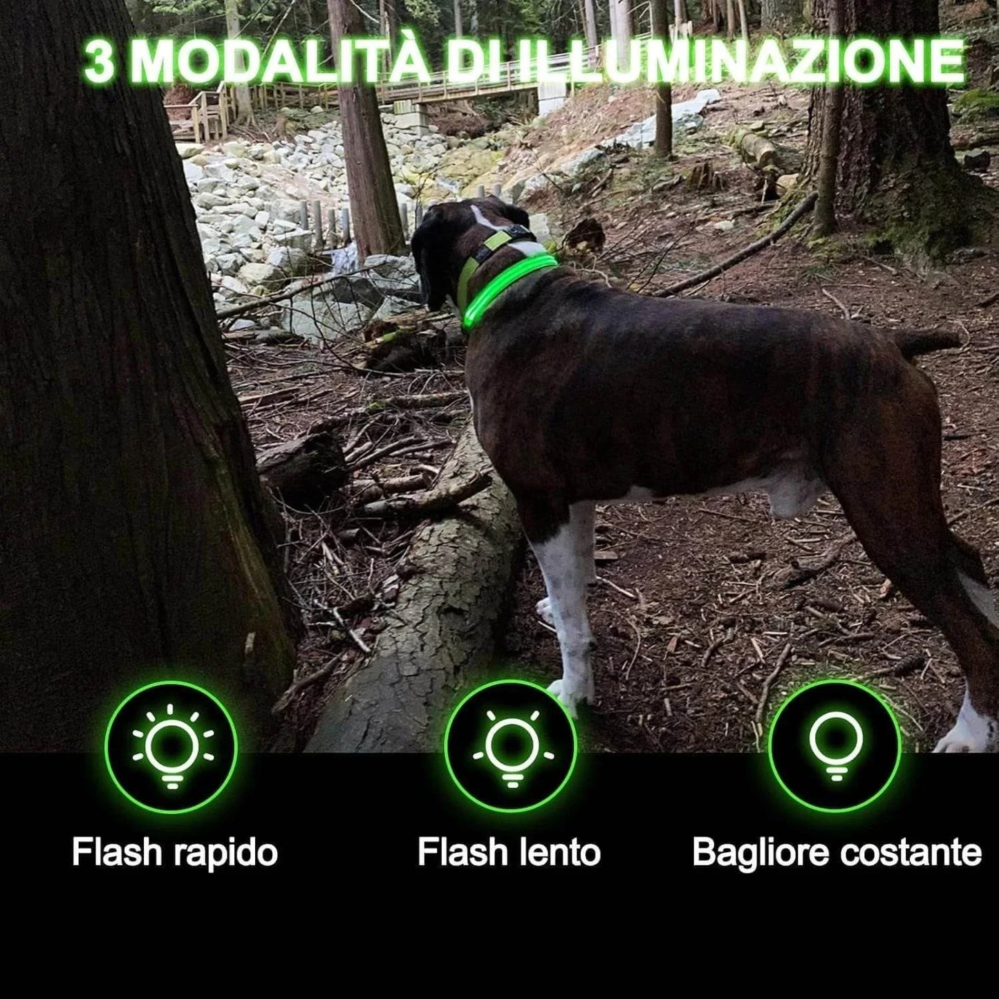 LUMILUX™ Collare LED per Cani con Tracker Inclusa - Paw Glamour™