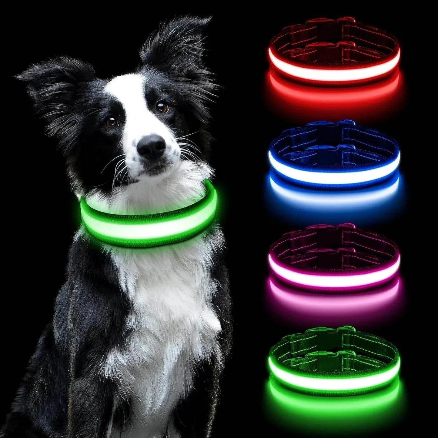 LUMILUX™ Collare LED per Cani con Tracker Inclusa - Paw Glamour™