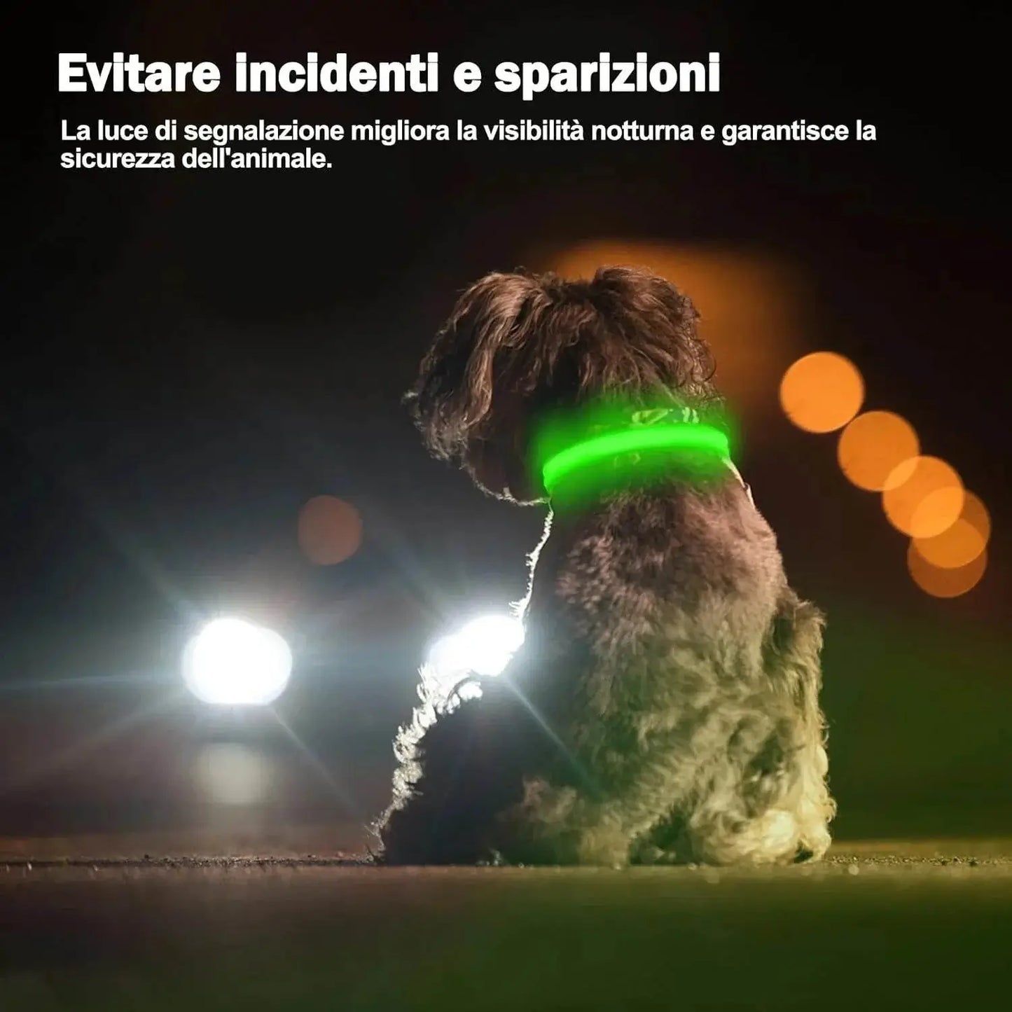LUMILUX™ Collare LED per Cani con Tracker Inclusa - Paw Glamour™