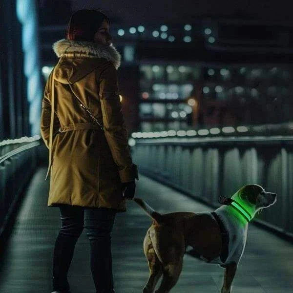 LUMILUX™ Collare LED per Cani con Tracker Inclusa - Paw Glamour™