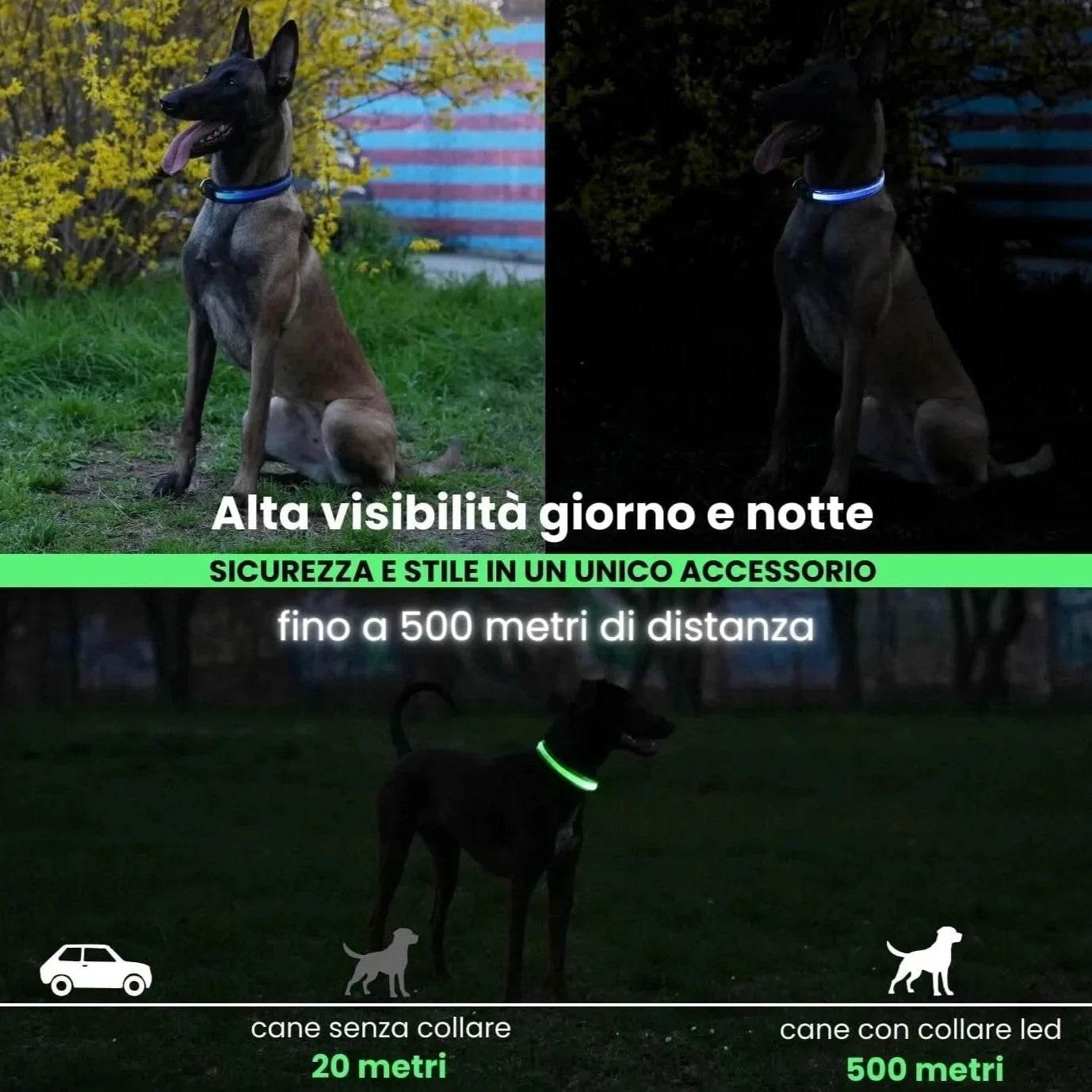 LUMILUX™ Collare LED per Cani con Tracker Inclusa - Paw Glamour™