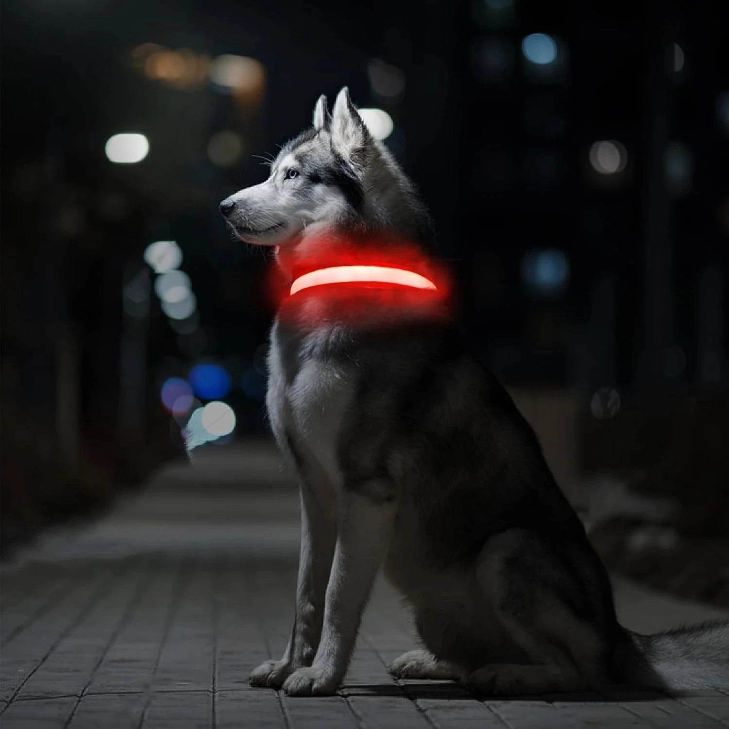 LUMILUX™ Collare LED per Cani con Tracker Inclusa - Paw Glamour™