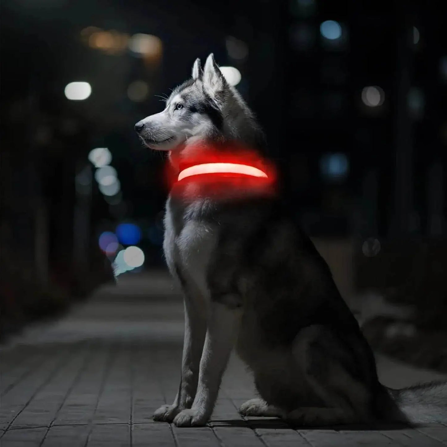 LUMILUX™ Collare LED per Cani con Tracker Inclusa - Paw Glamour™