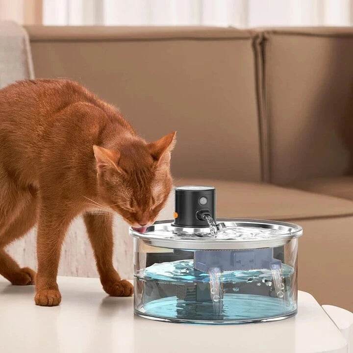 IDRALUX™ Fontanella per cani e gatti in Acciaio Inox - Benessere e Idratazione Assicurati - Paw Glamour™