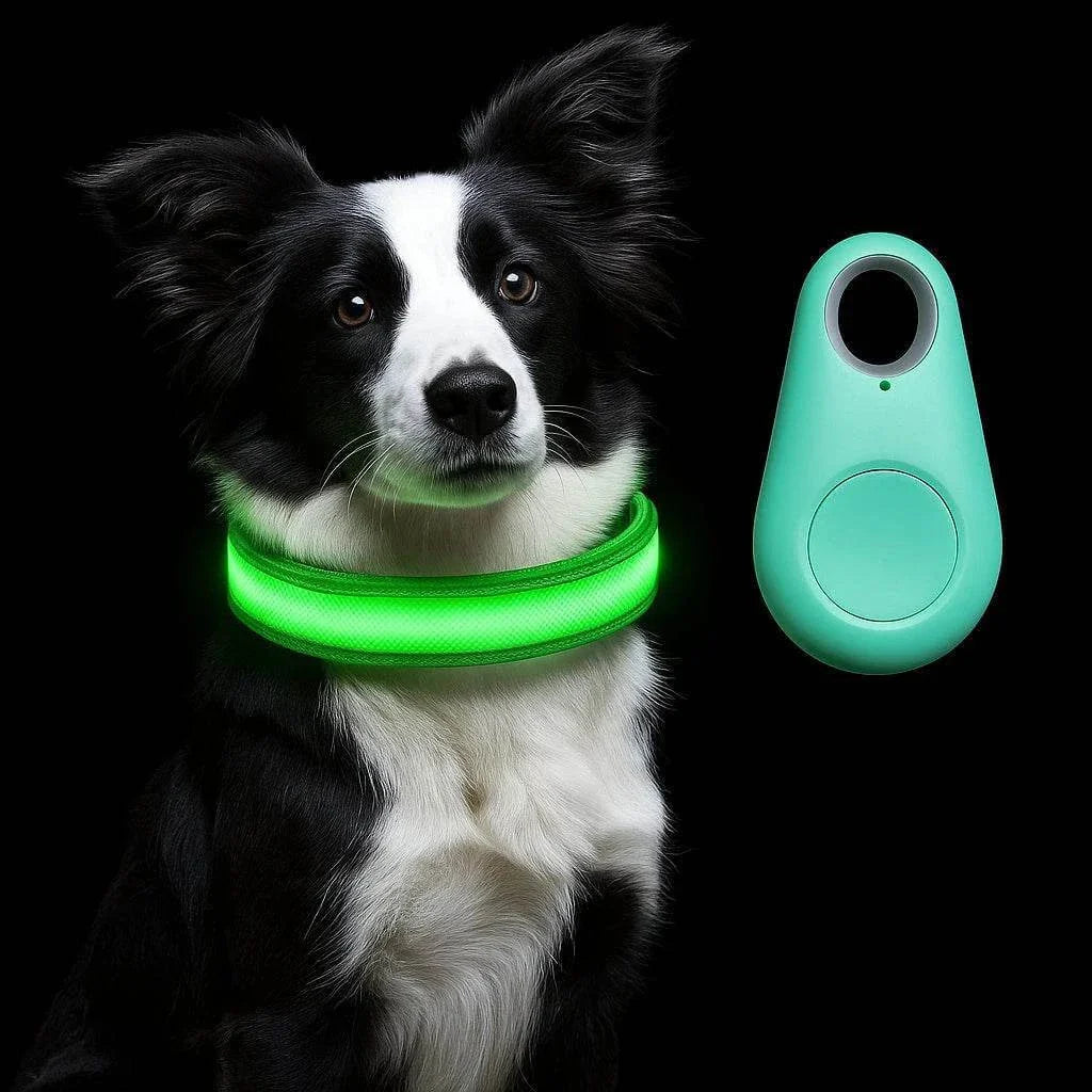 LUMILUX™ Collare LED per Cani con Tracker Inclusa - Paw Glamour™