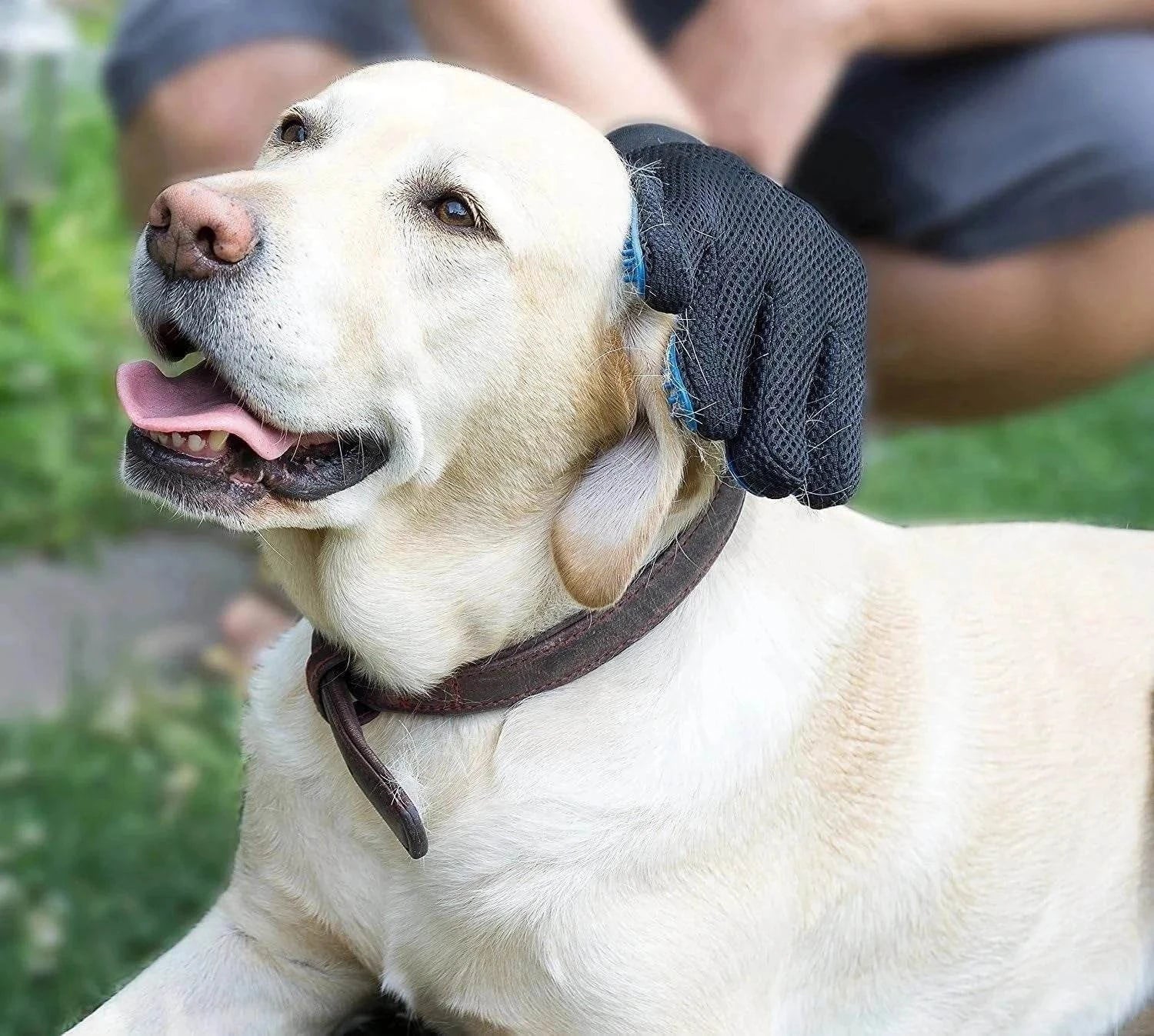 Guanto Toelettatura Animale GLUFFY™: Coccole Speciali per il Tuo Pet - Paw Glamour™