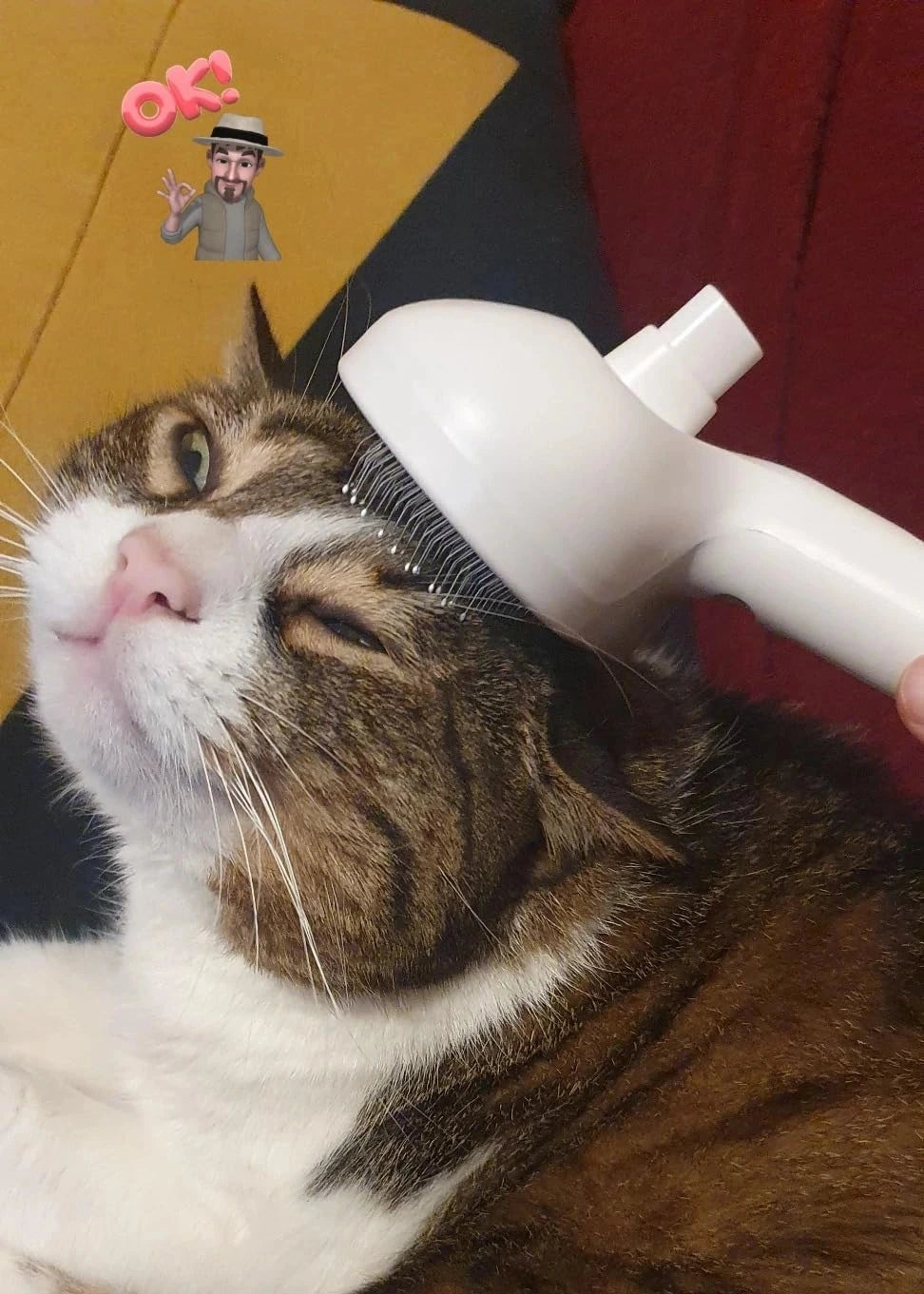 Peluma™ | La spazzola a vapore professionale per cani e gatti - Paw Glamour™