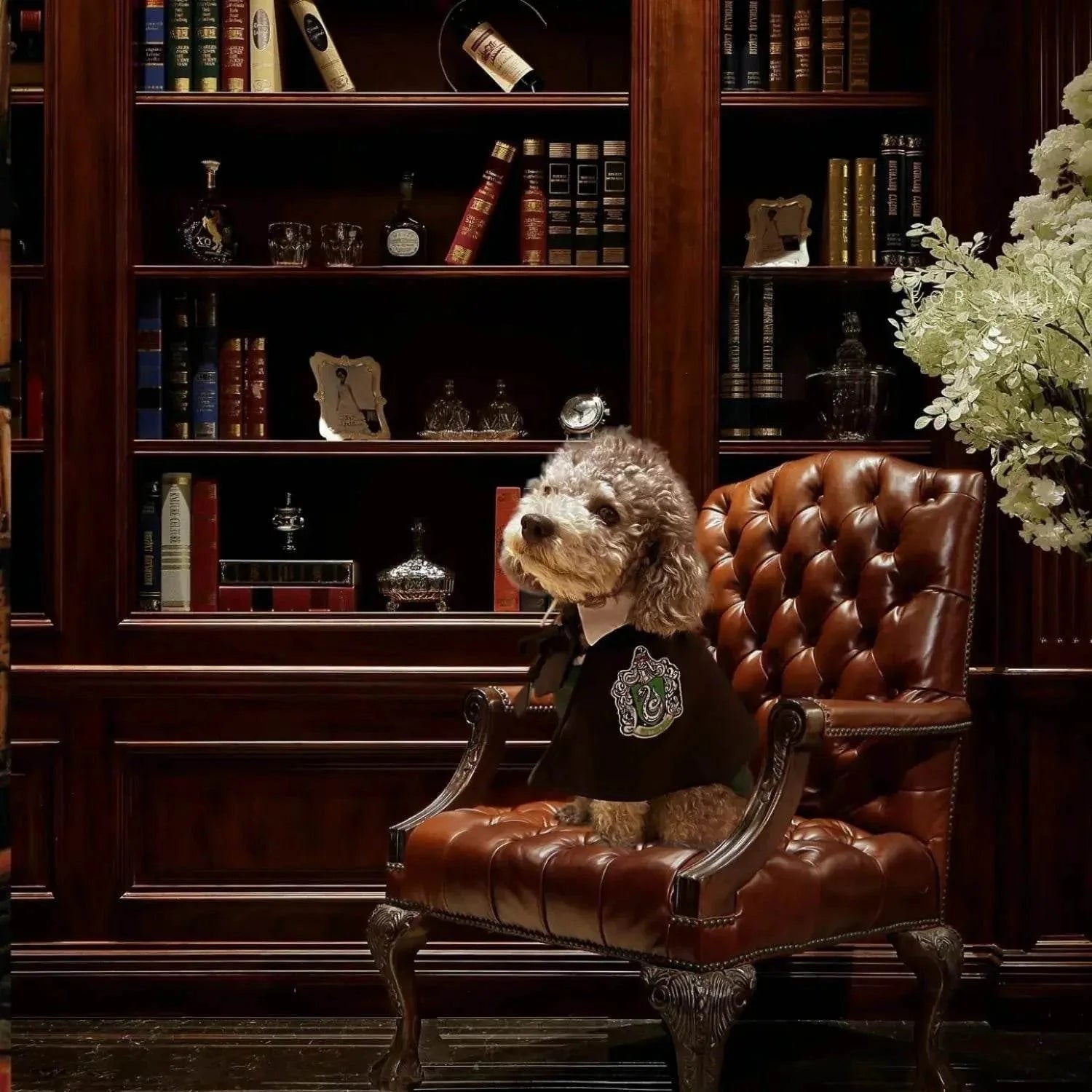 PETWARTS™ – Il Costume Magico per Cani e Gatti Ispirato al Mondo di Hogwarts - Paw Glamour™