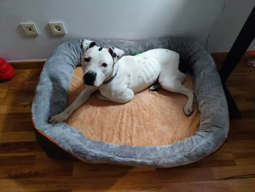 Luca M.
