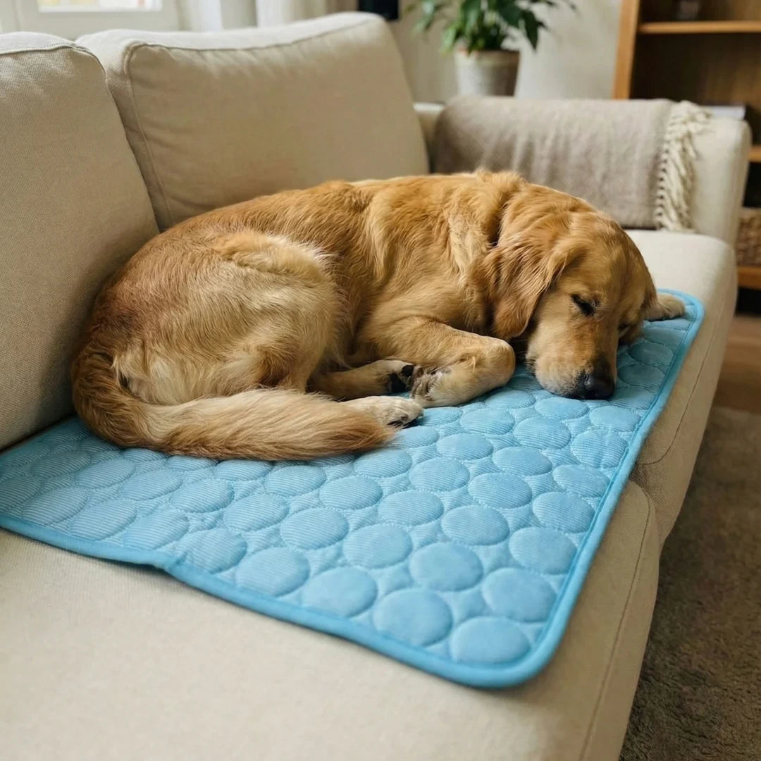 CoolPad™ | Il Tappetino Autorinfrescante per Cani e Gatti
