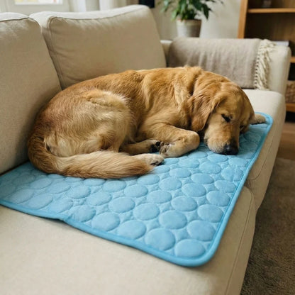 CoolPad™ | Il Tappetino Autorinfrescante per Cani e Gatti