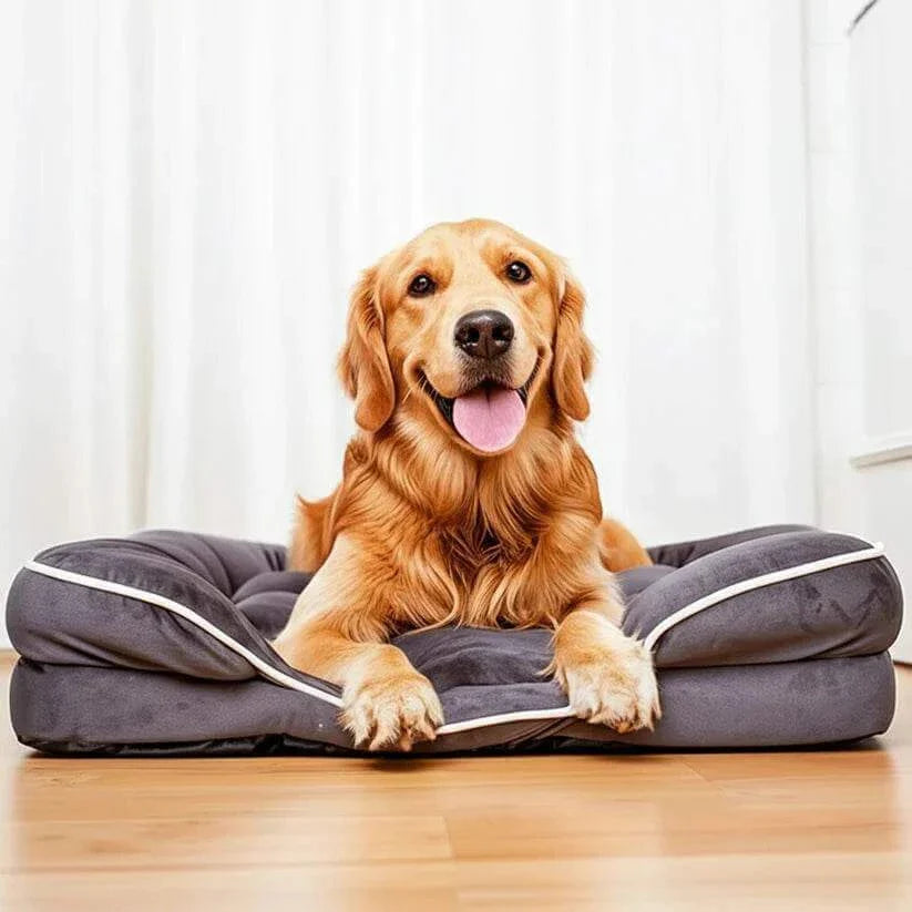 DORMELA™ Cuccia Ortopedica per Cani e Gatti in Memory Foam - Paw Glamour™