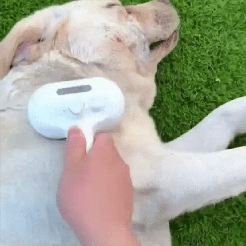 Peluma™ | La spazzola a vapore professionale per cani e gatti - Paw Glamour™