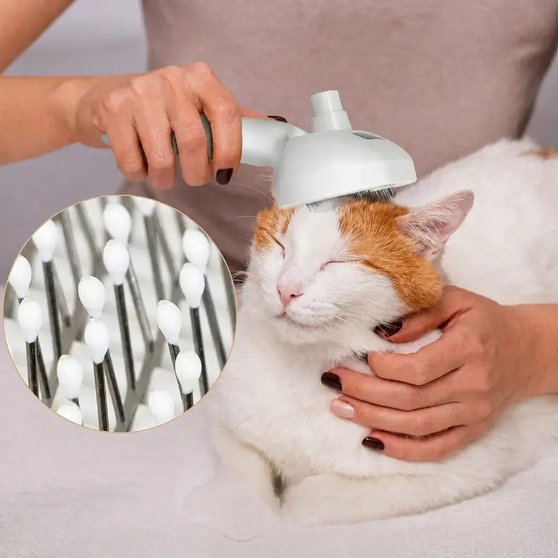 Peluma™ | La spazzola a vapore professionale per cani e gatti - Paw Glamour™