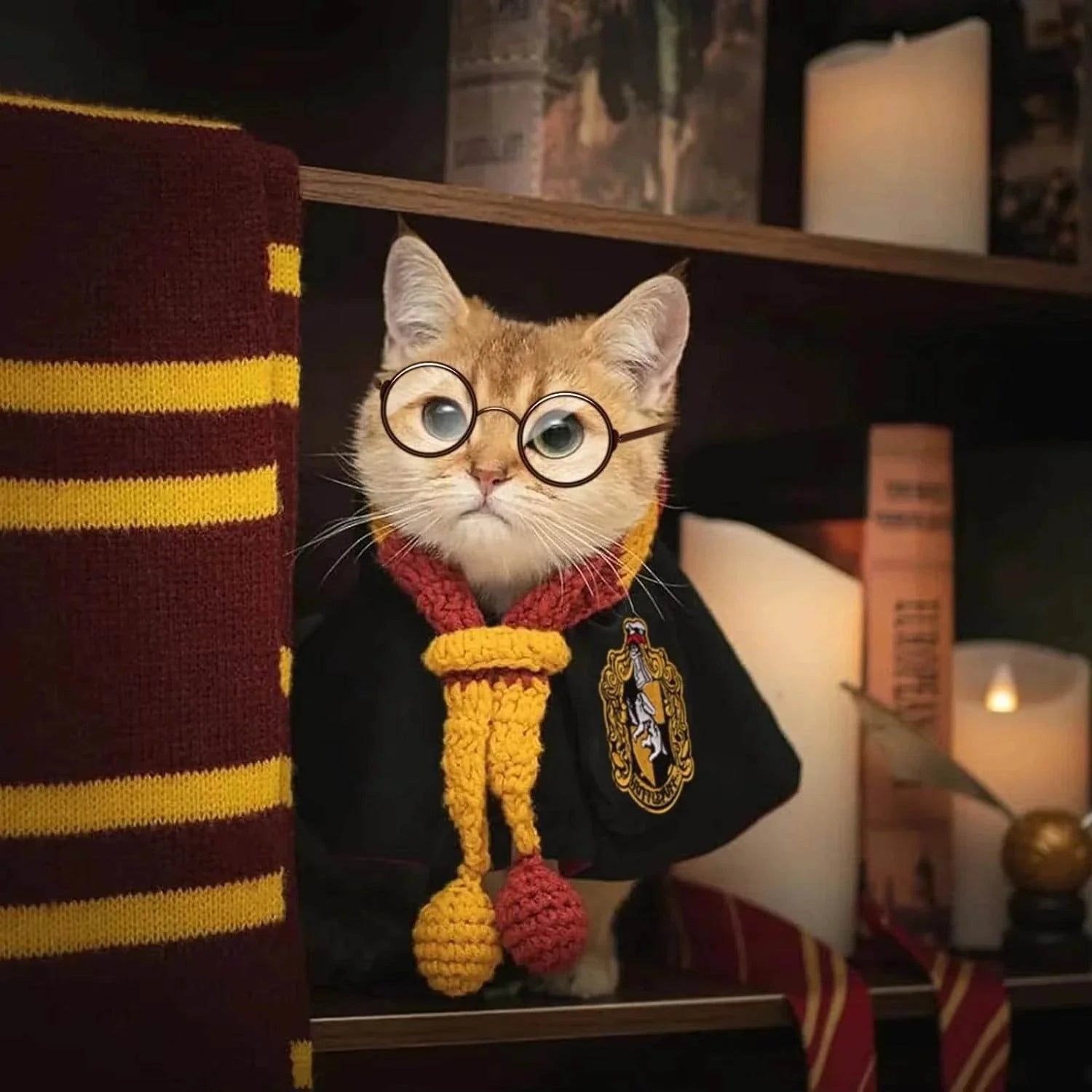 PETWARTS™ – Il Costume Magico per Cani e Gatti Ispirato al Mondo di Hogwarts - Paw Glamour™