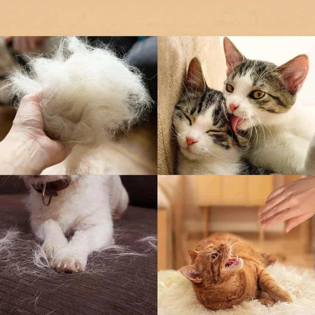 Guanto Toelettatura Animale GLUFFY™: Coccole Speciali per il Tuo Pet - Paw Glamour™