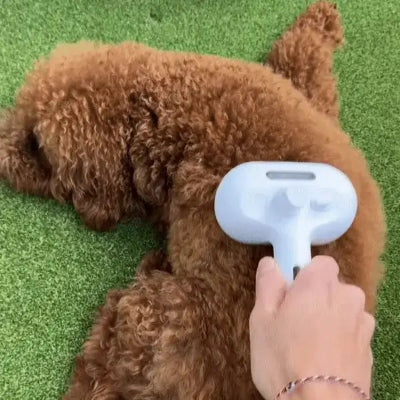 Peluma™ | La spazzola a vapore professionale per cani e gatti - Paw Glamour™